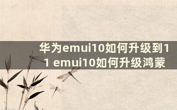 华为emui10如何升级到11 emui10如何升级鸿蒙